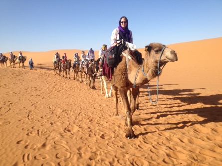Geographers experience Marrakesh and Sahara